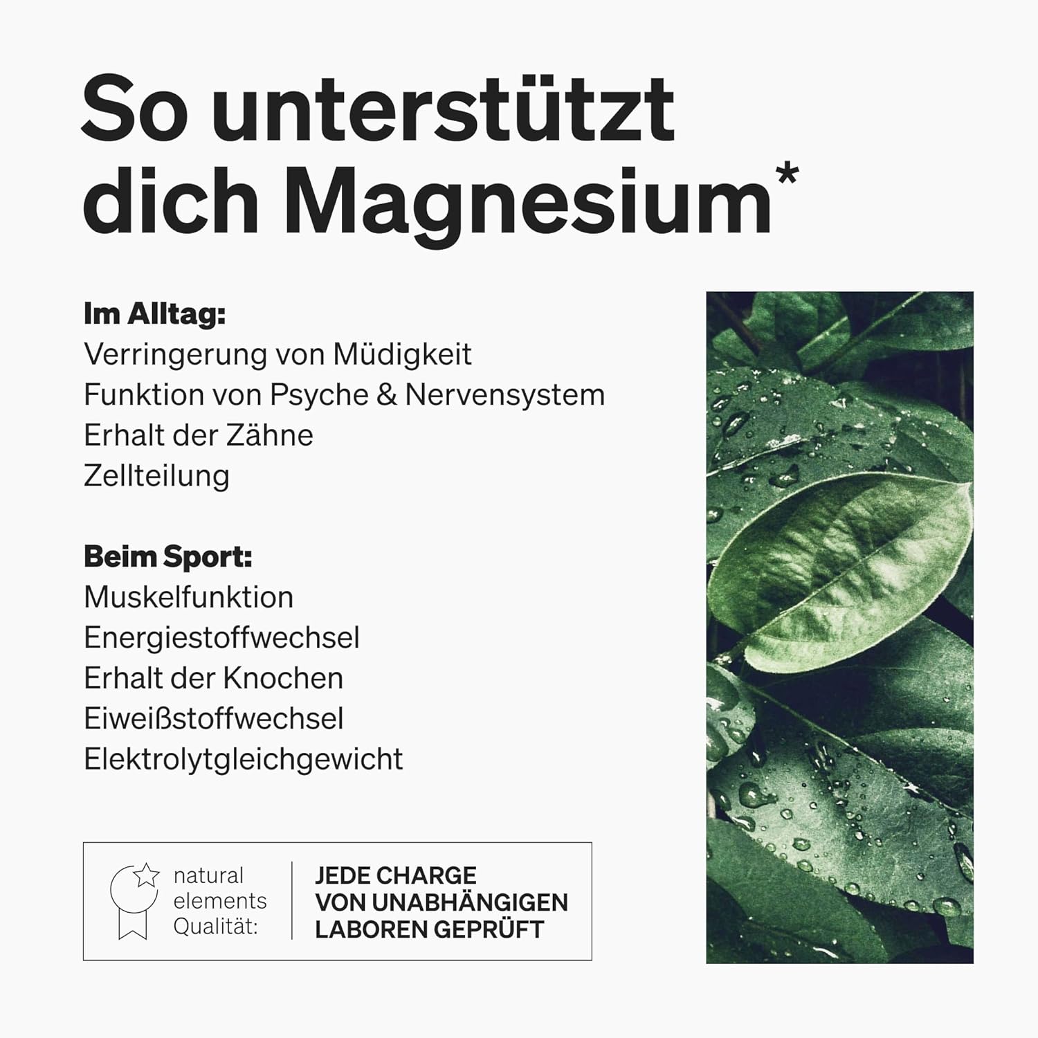 natural elements Magnesium Komplex - Premium: Aus 5 hochwertigen Verbindungen - 400mg elementares Magnesium pro Tagesdosis - Laborgeprüft, vegan, hochdosiert – Bild 5